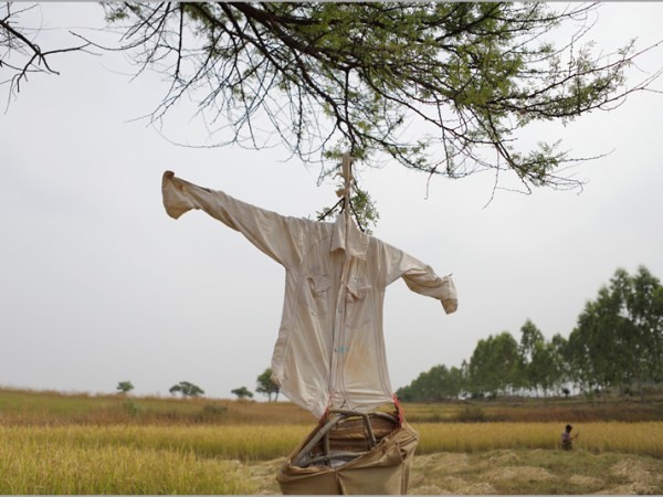 Environmentally Correct